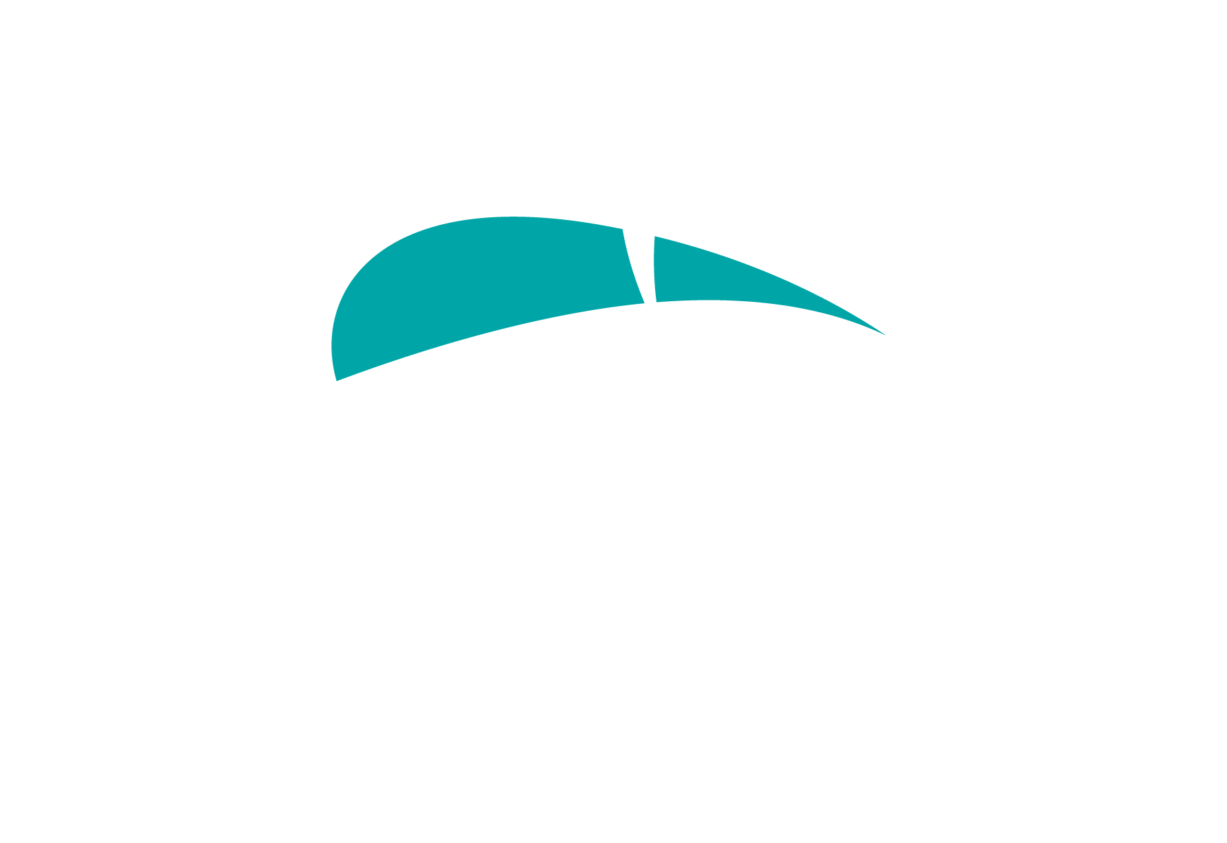Pega Classroom Training